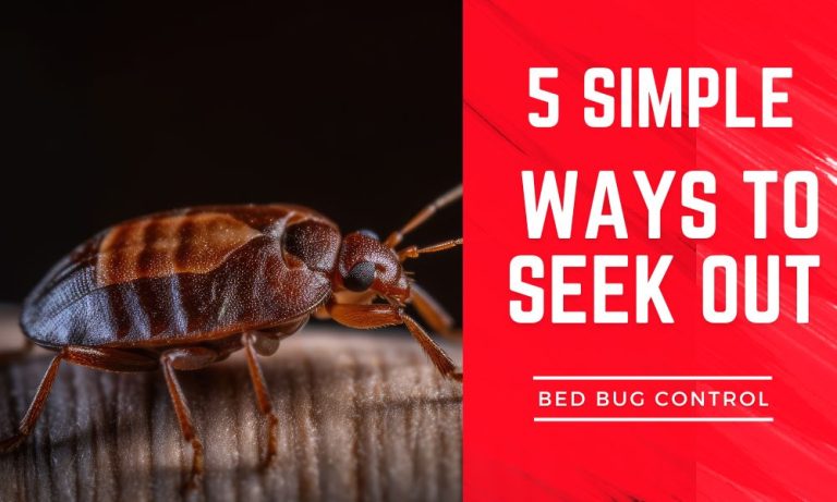 5 Simple Ways To Seek Out Bed Bug Control